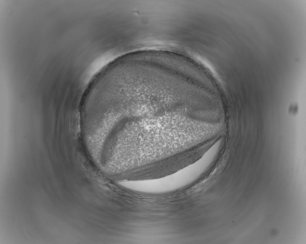 X0000091061267200709041151