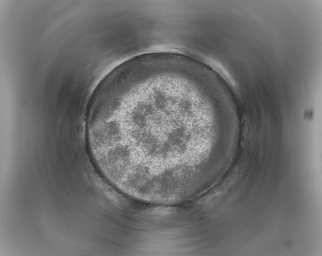 X0000091061268200709041151