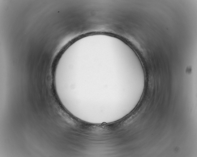 X0000091061270200709041151