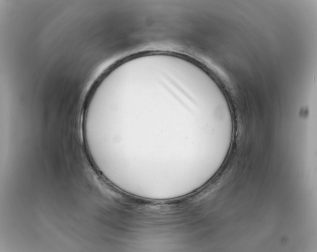 X0000091061272200709041151