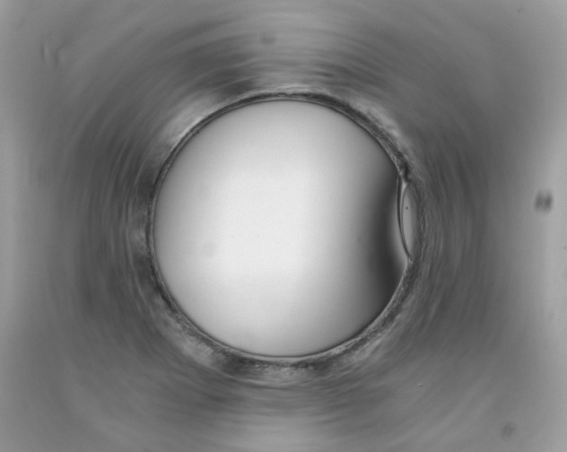 X0000091061273200709041151