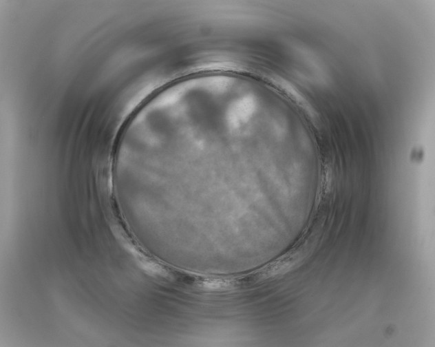 X0000091061274200709041151