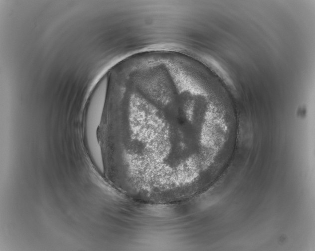 X0000091061276200709041151