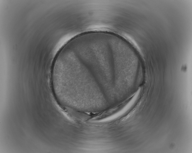 X0000091061277200709041151