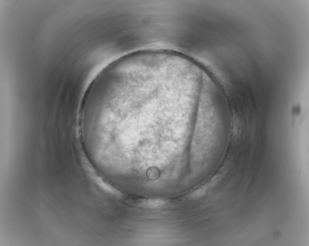 X0000091061278200709041151