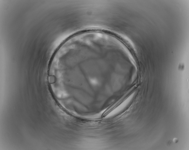 X0000091061279200709041151