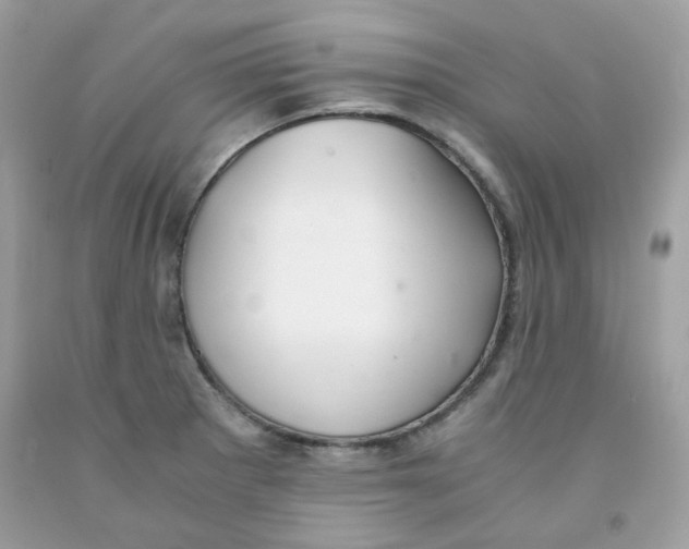 X0000091061281200709041151