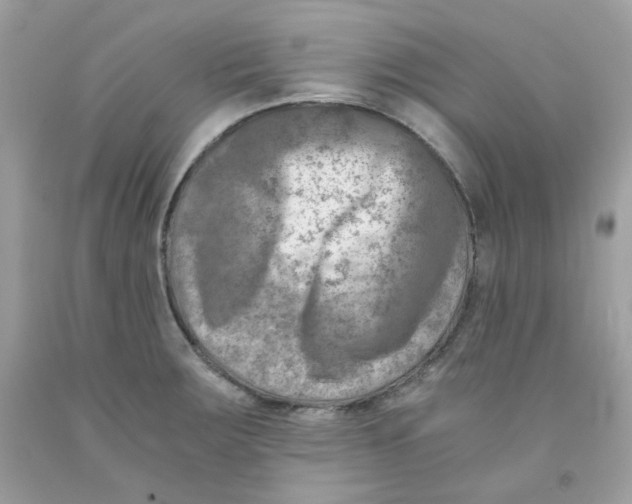 X0000091061283200709041151