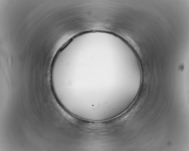 X0000091061285200709041151