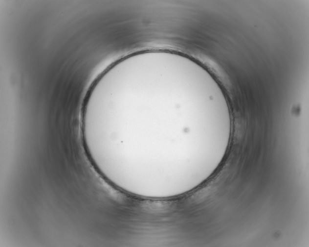 X0000091061286200709041151