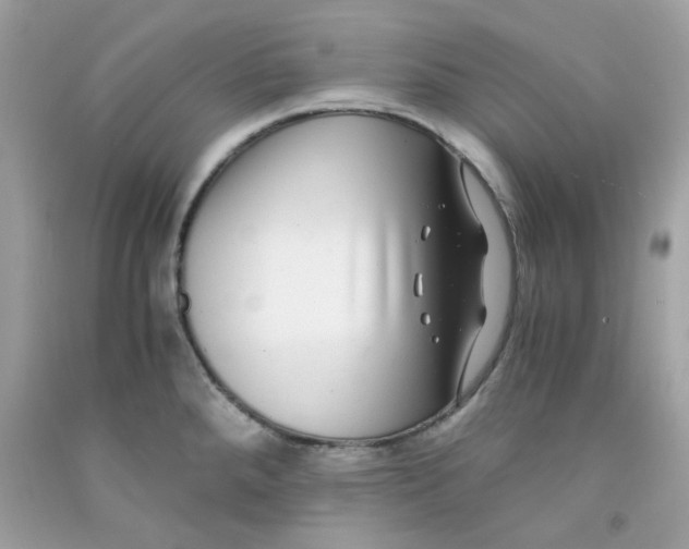 X0000091061288200709041151