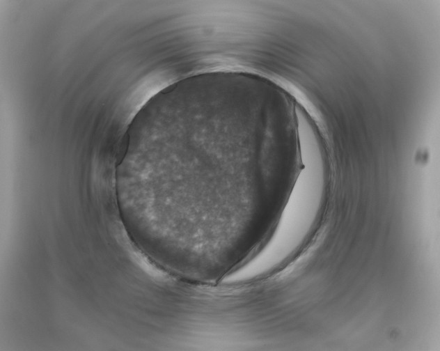 X0000091061289200709041151