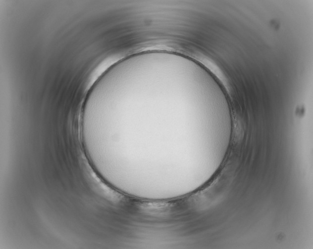 X0000091061290200709041151