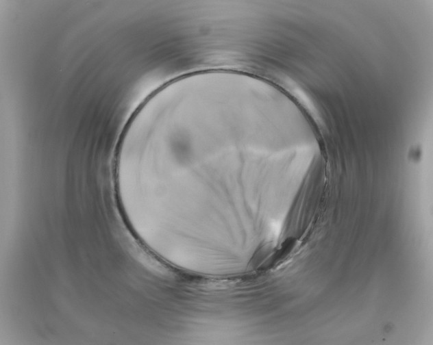 X0000091061291200709041151