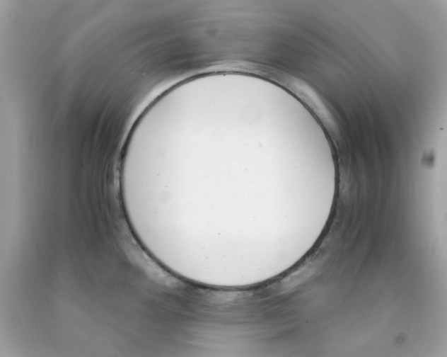 X0000091061292200709041151