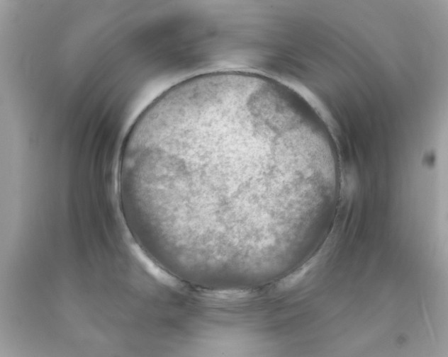 X0000091061294200709041151