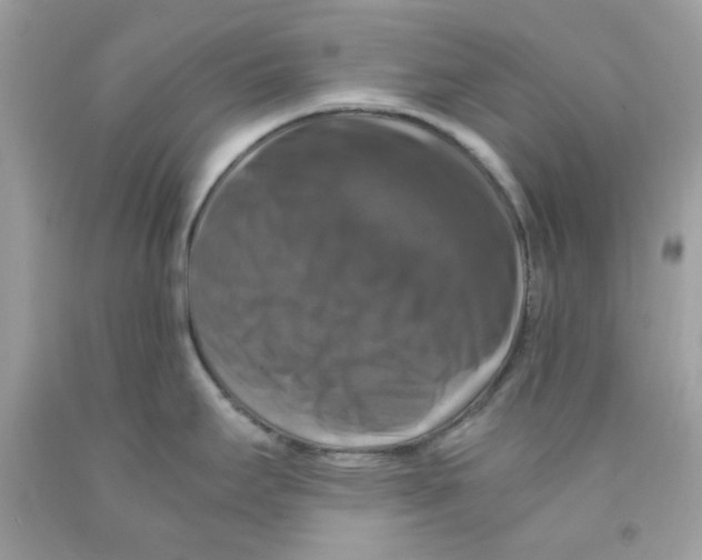 X0000091061295200709041151