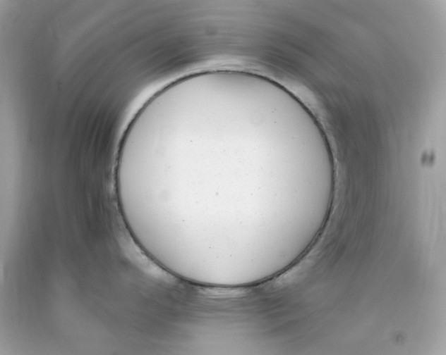 X0000091061296200709041151