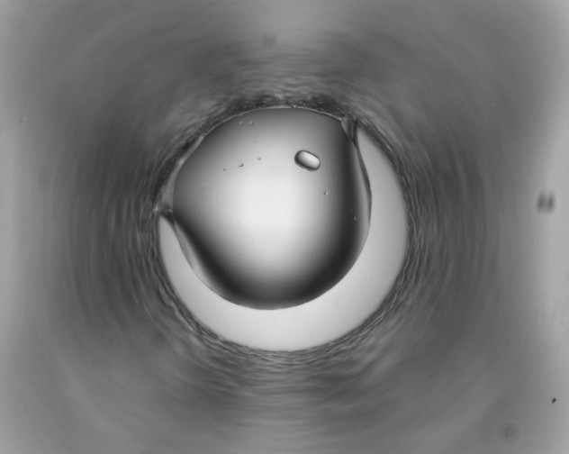 X0000091061298200709041150