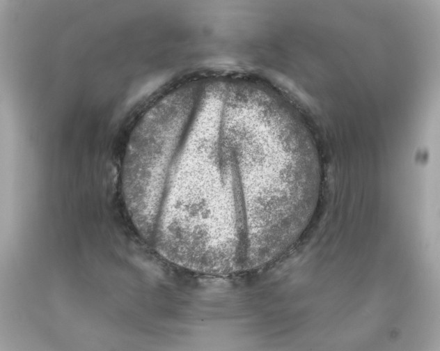 X0000091061302200709041150