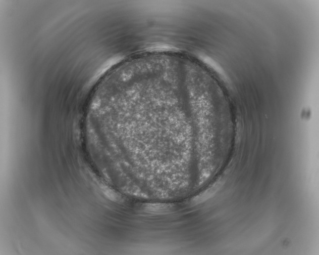 X0000091061305200709041150