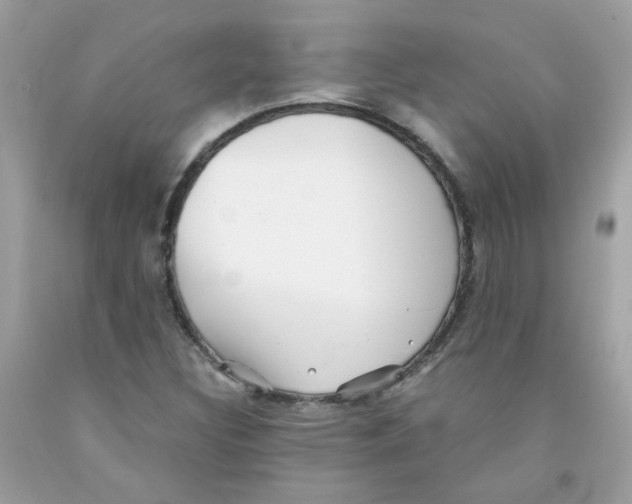 X0000091061308200709041150