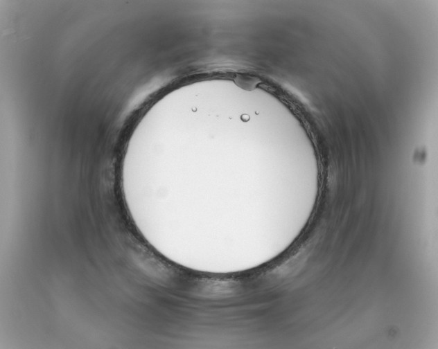 X0000091061309200709041150