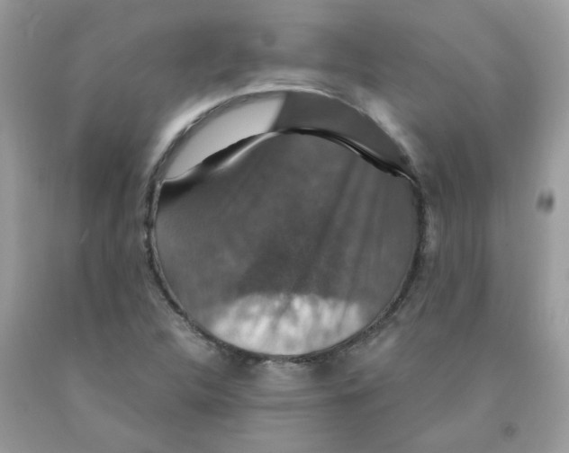 X0000091061312200709041150