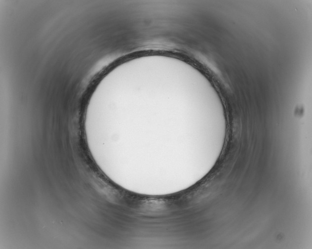 X0000091061315200709041150