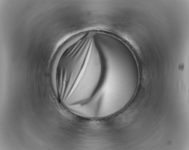X0000091061316200709041150