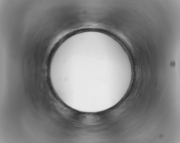 X0000091061318200709041150