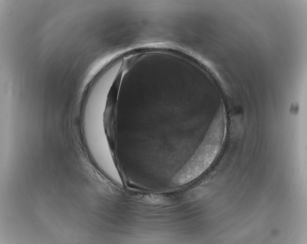 X0000091061319200709041150