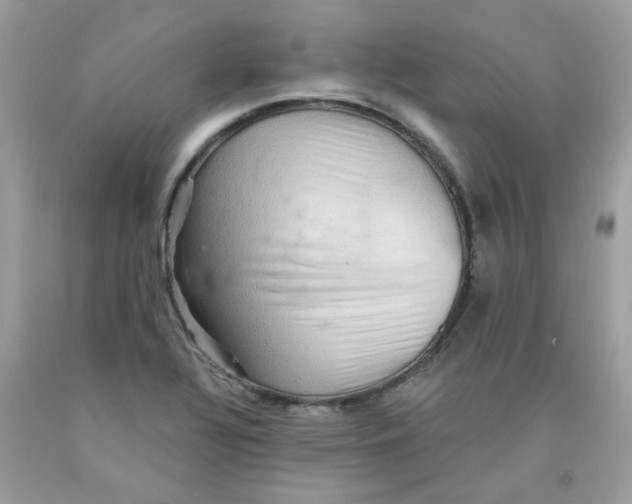 X0000091061320200709041150