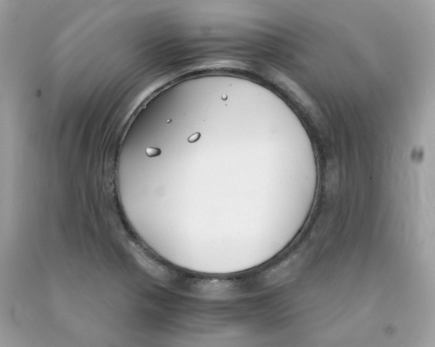 X0000091061321200709041150