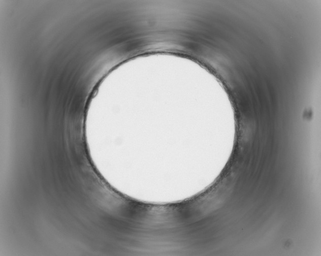 X0000091061322200709041150