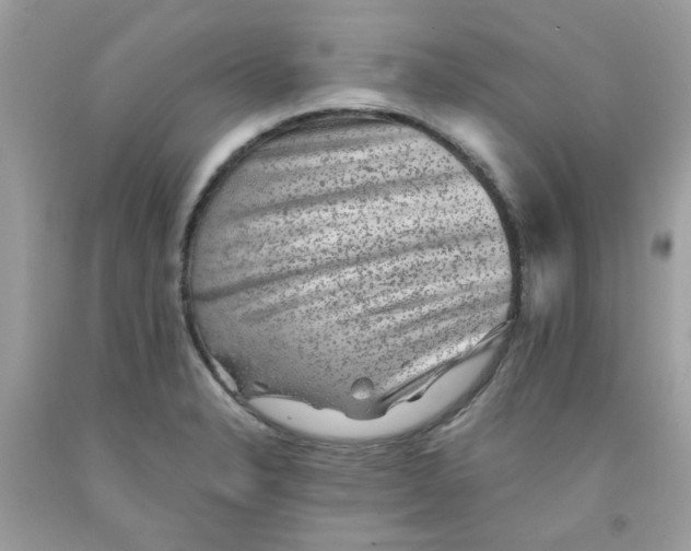 X0000091061326200709041150