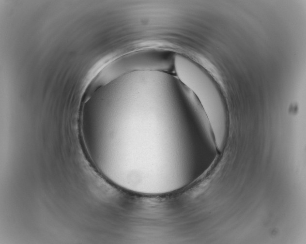 X0000091061330200709041150