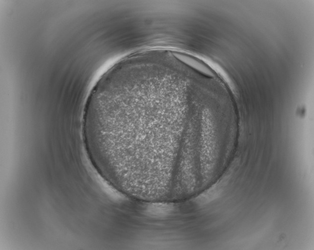 X0000091061333200709041150