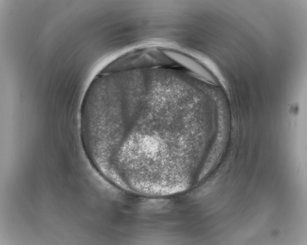 X0000091061335200709041150