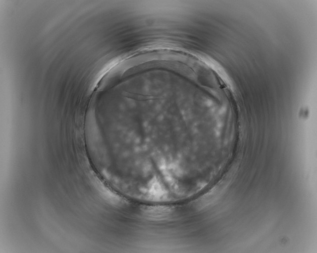 X0000091061337200709041150