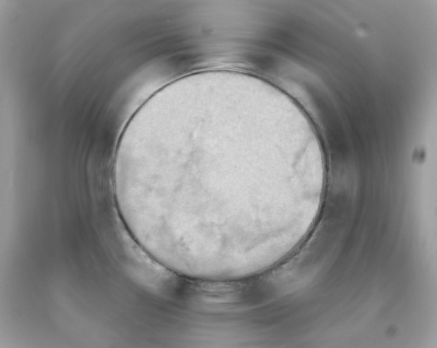 X0000091061338200709041150