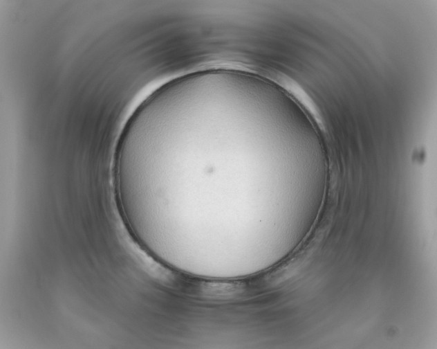 X0000091061339200709041150