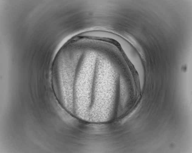 X0000091061340200709041150
