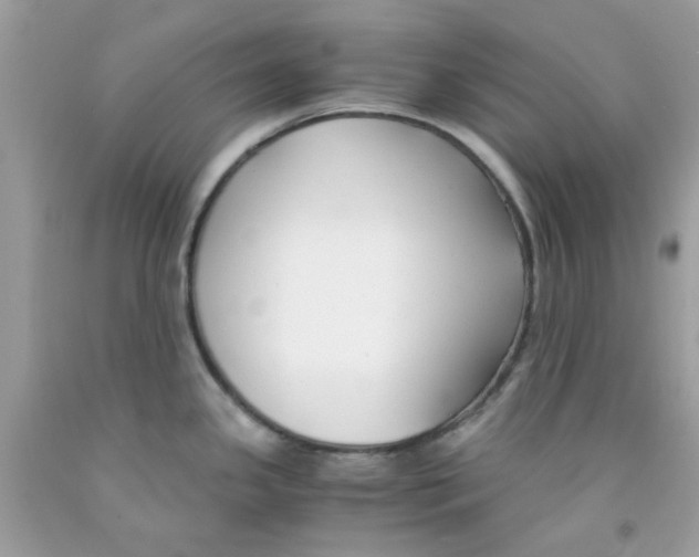 X0000091061341200709041150