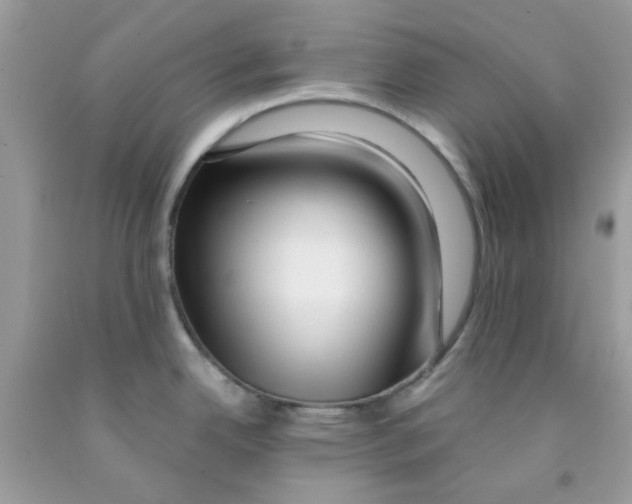 X0000091061342200709041150