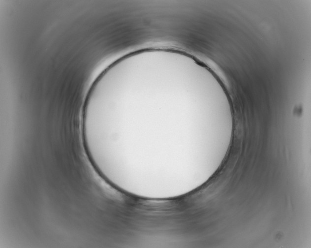 X0000091061343200709041150