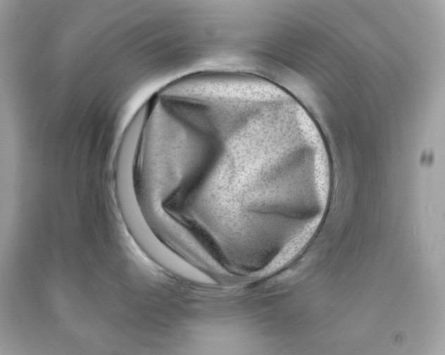 X0000091061344200709041151