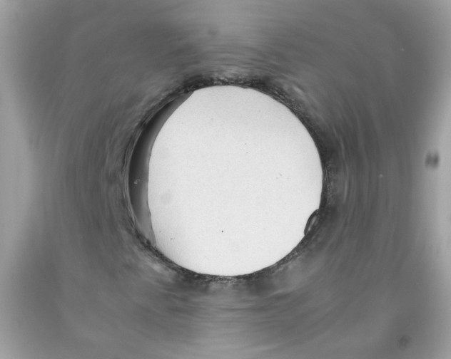 X0000091061345200709041150