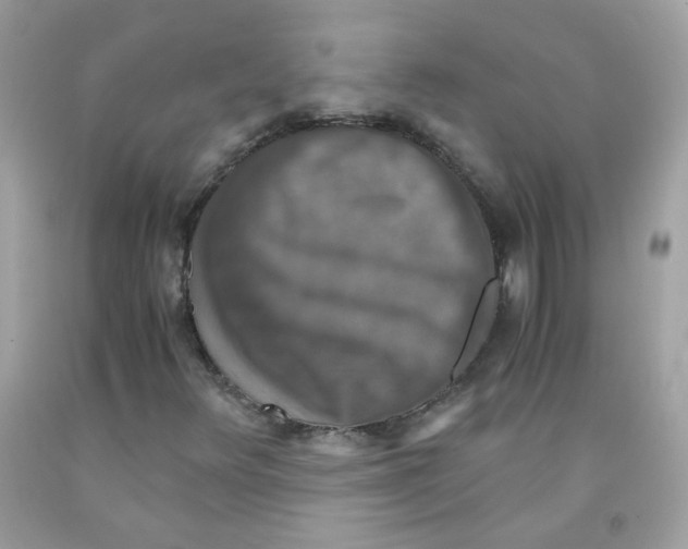 X0000091061348200709041150