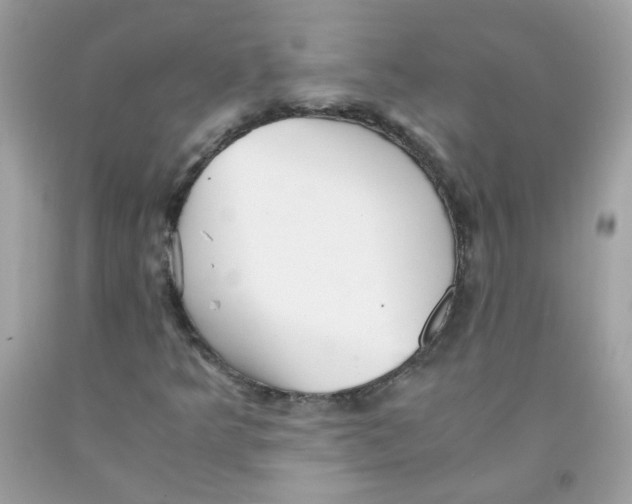 X0000091061349200709041150